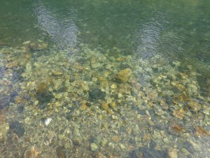 (Photo taken at Banias, the site of Caesaria Philippi, and source of the Jordan River.)