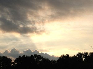 (Photo taken at Camp Weed.)