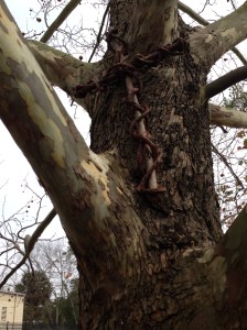 (Photo taken in parking lot where we worship on Sundays.)