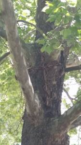 (Another dear friend Deb Fewell took this photo when she joined us for church!)