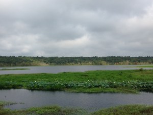 (Photo taken at Camp Weed in July 2014.)