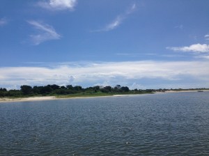 (Photo taken near St. Augustine, FL.)