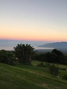 (Photo taken in Kula, Maui, September 2015)