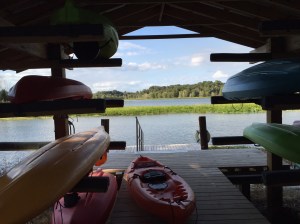 (Photo taken at Camp Weed, near Live Oak, FL, Oct. 19, 2015.)